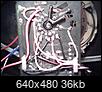     

:	060313-1545.jpg
:	321
:	35.5 
:	277699