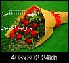     

:	10788_232075893665364_1638294562_n.jpg
:	7
:	24.4 
:	448780