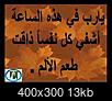     

:	65a061f2_10299964.jpg
:	17
:	12.9 
:	494399