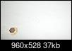     

:	15873222_10154815953049882_2612488773222951016_n.jpg
:	8
:	37.3 
:	684498