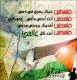   mahmoudak