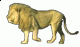   2000