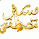   Mr.Mostafa