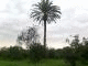   ASHRAF RADY