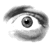   looklike