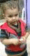   adm Amr