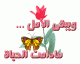   mohnd