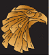   eagle eyes