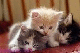   mostafa43535