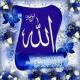   mossa lhsady