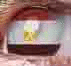   qassem