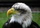   midonet_2100