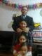   adel_2010