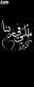   mostafa marey