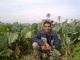   mohamadmesaed