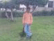   eng mahmoud30