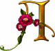   profissor
