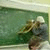   kmohamed