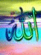   hazem1234