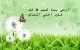   ma7m0ud1981