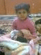   mr_kingofegypt