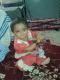   ی