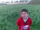    2000