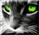   dido92