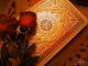   Mohammedmmdouh_83