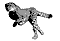   panzer