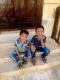   stst
