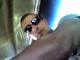   sayed_sayed882