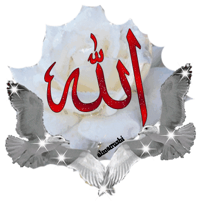   ABO SHOROUQ