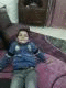   mohsen fa