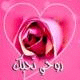   tarek tarek