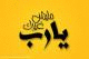   mohammed shokr