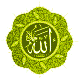   yaqot