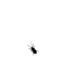   medo_31