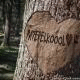   pa7epelkoool