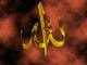   ehabhebo
