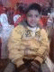   amr zidan