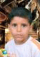   abuanwar
