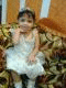   mohamedlsid