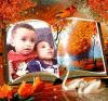   alaashehata2222