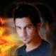   waleed shaker