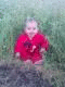   nasem_al7ah
