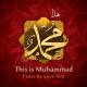   mohsam10