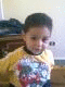   tete2010