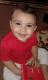   elfares_net