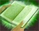   SaSaSoft